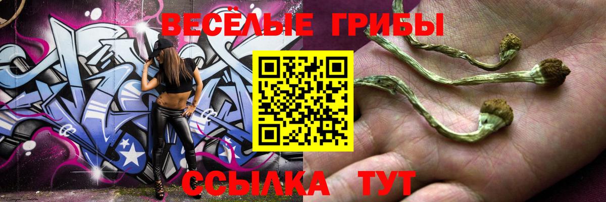 Псилоцибиновые грибы Magic Shrooms Кемерово